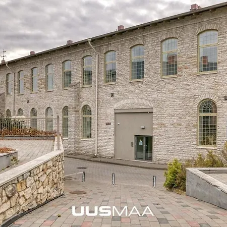 Loft Near Old Town טאלין